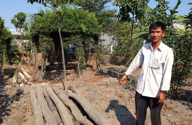 Viện KSND tối cao yêu cầu báo cáo vụ “chòi vịt”