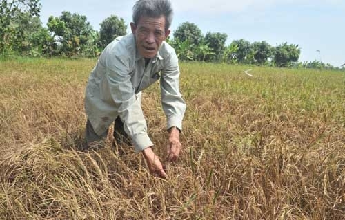 Ứng phó hạn hán: Việt Nam kêu gọi quốc tế hỗ trợ 48,5 triệu USD