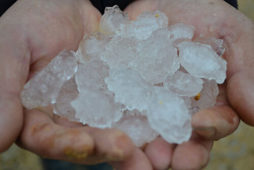 M?a ?� ti?p t?c xu?t hi?n t?i ??ng Nai