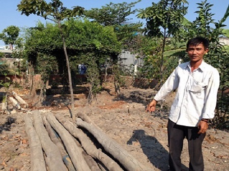 Viện kiểm sát TP.HCM: Chủ chòi vịt không phạm tội