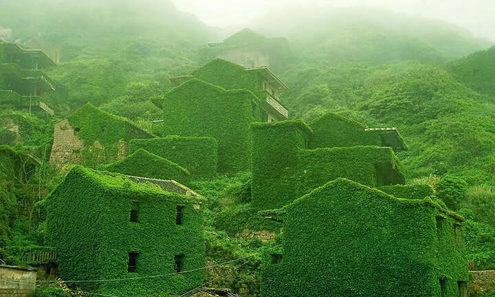 15 ng�i l�ng c? t�ch b?n s? kh�ng ngh? c� trong th?c t?