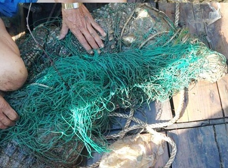 V�y b?t th�nh c�ng c� s?u n?ng h?n n?a t? tr�n s�ng So�i R?p