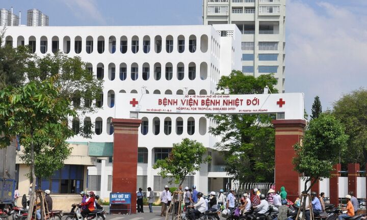 TP.HCM: C?nh b�o tr??ng h?p nhi?m c�m heo ??u ti�n trong n?m 2016