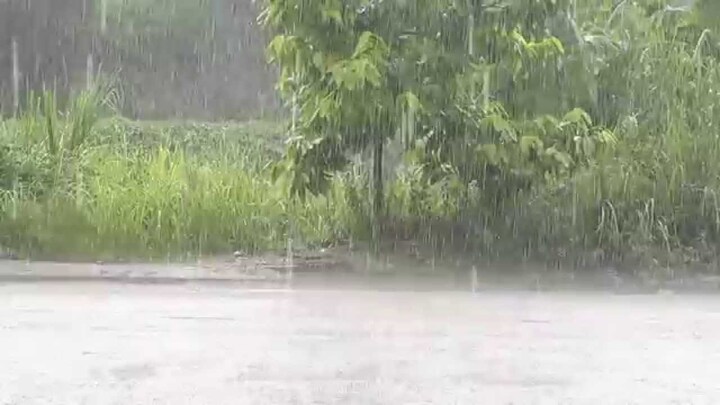 D? b�o th?i ti?t ng�y mai 9/5: B?c B? c� m?a r�o