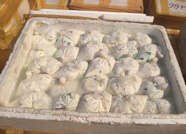 H�ng ngh�n g�i ch� th?p c?m b?n 