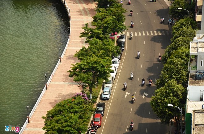 H�ng ngh�n c�y xanh ? ?� N?ng ???c mua b?o hi?m