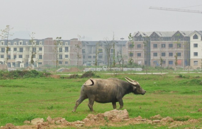 H? s? chuy?n ??i m?c ?�ch s? d?ng ??t c?n nh?ng g�?