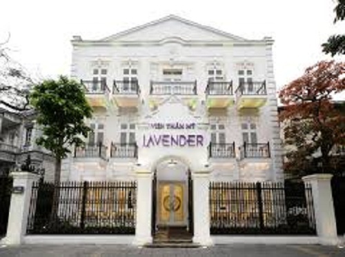 Lavender l?a d?i kh�ch h�ng v� c? t�nh th�ch th?c c? quan ch?c n?ng?