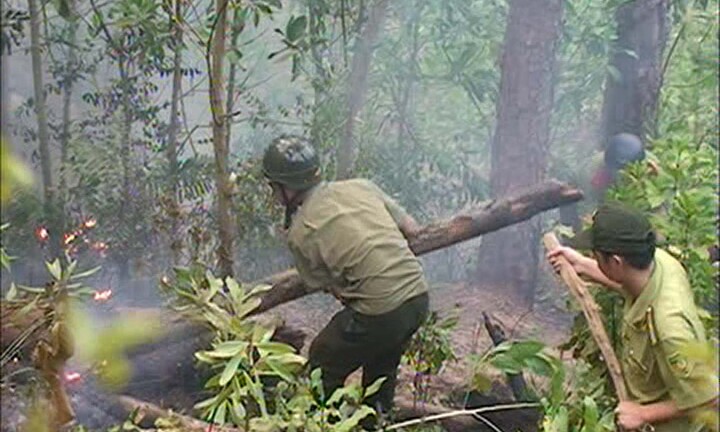 Ch�y h�ng ch?c ha r?ng ? Qu?ng Ng�i, g?n 200 ng??i tham gia d?p l?a