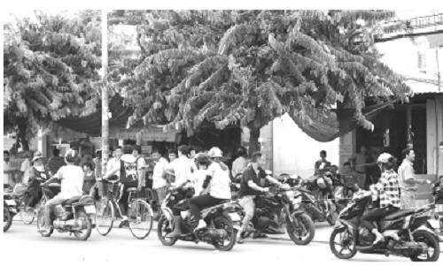 Điều tra cái chết bất thường của bà chủ quán xinh đẹp sau cú điện thoại lạ