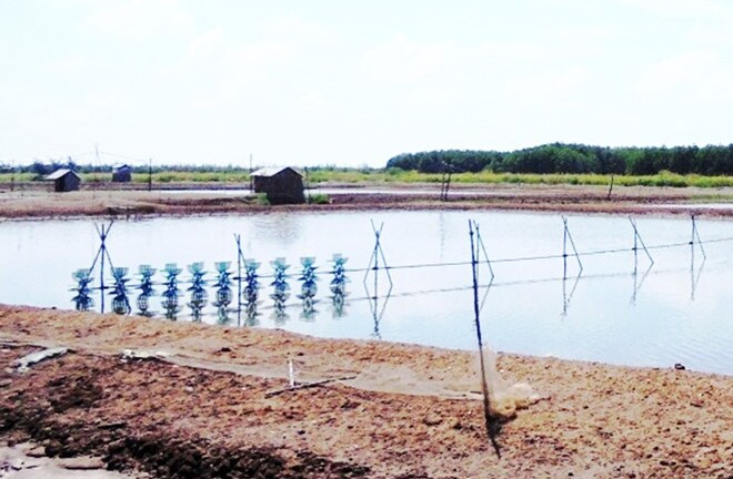 C� Mau c�ng b? thi�n tai c?p ?? 2 ??i v?i nu�i tr?ng th?y s?n