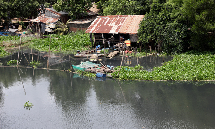 D�n hoang mang khi n??c s�ng V�m C? ?�ng chuy?n m�u ?en k?t