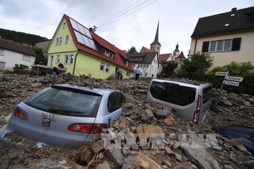 M?a l? l�m khi?n nhi?u ng??i thi?t m?ng ? ??c, M?