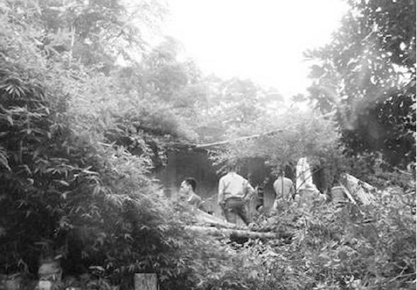 Chuốc rượu cho chồng say, quay sang hãm hại vợ