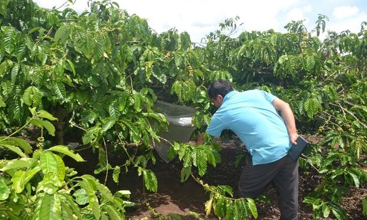 Khoảnh khắc đội tuyển VIệt Nam nâng Cúp vô địch Aya Bank Cup