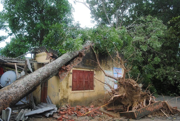 Hà Tĩnh: Một ngôi trường bị đổ nát vì bão số 10