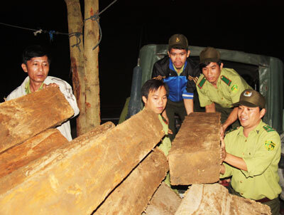 Ngăn chặn nhiều điểm nóng phá rừng tại Khánh Hòa