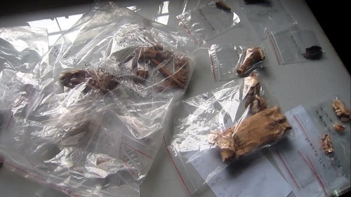 Hà Tĩnh: Truy tìm dấu tích hiện vật thời tiền sử