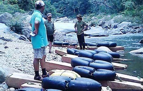 Bình Định: Phát hiện khối lượng lớn gỗ hương tía dưới lòng sông