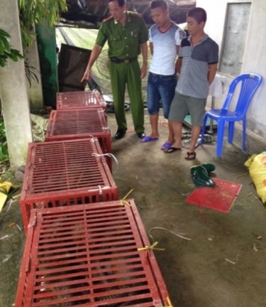  Liên tiếp bắt giữ hai vụ vận chuyển tê tê, rùa trái phép