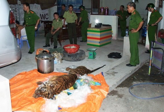 Bắt quả tang vụ vận chuyển 90kg xương hổ trái phép