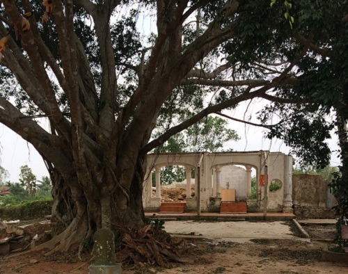 Quảng Bình: Phát hiện 4 bức tượng cổ tại chùa Hoằng Phúc