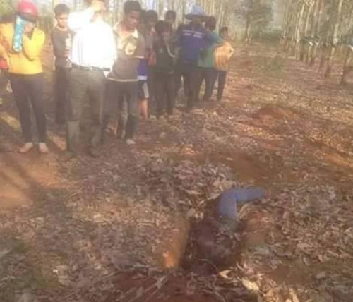 Phát hiện thi thể một phụ nữ trong rừng cao su