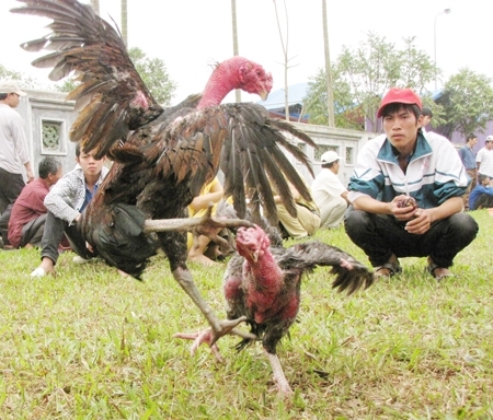 Độc chiêu khiến dân chơi 