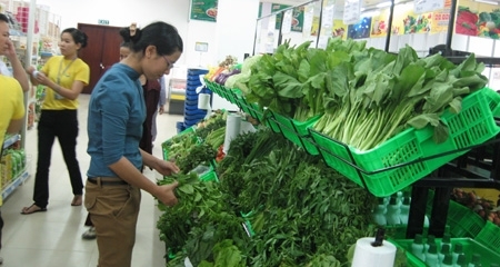 Rau sạch xuất ngoại, rau bẩn phần dân