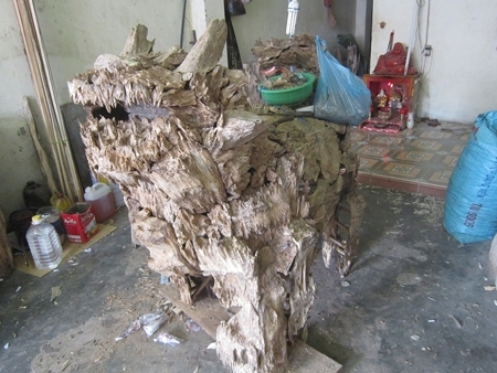 Những khối trầm triệu đô nơi thâm sơn cùng cốc