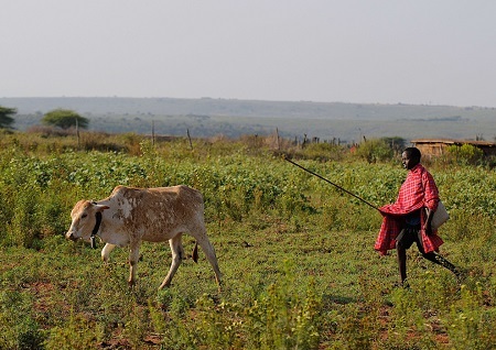 Trẻ đến trường trên khắp thế giới (P1)
