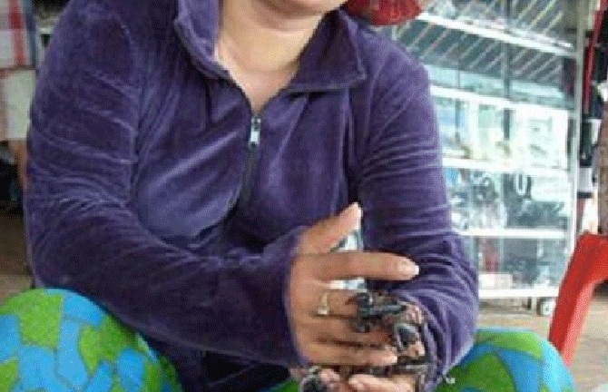 Kỳ thú chợ “sung sướng” và bí quyết săn “thần dược” trên lãnh địa Thiên Cấm Sơn