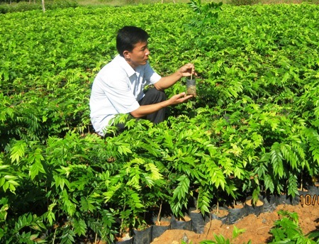 Đổ xô tìm chiếc