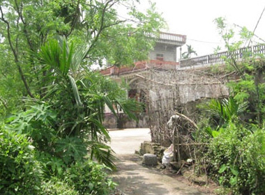 Con rể công khai ngoại tình với... mẹ vợ