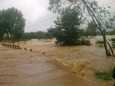Đắk Lắk: Bị mưa lũ cô lập, người dân phải leo cây tránh lũ