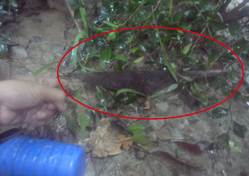 Giết hại hàng xóm chỉ vì...cái đèn pin