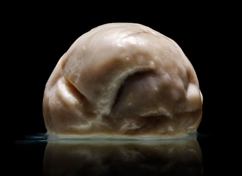 Kinh ngạc với não người phẳng chưa từng thấy