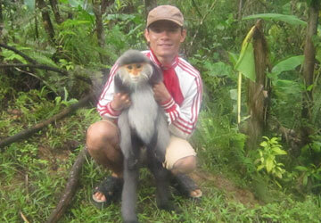 Mua voọc quý rồi thả về rừng xanh