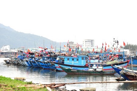Đà Nẵng còn gần 800 lao động trên biển