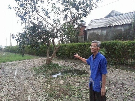 Hồi tưởng chuyến về thăm quê lần cuối của Tướng Giáp