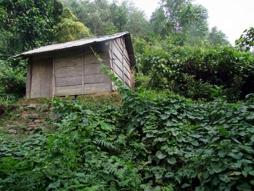 Chết trên núi sau 30 năm đi tìm kho báu vua Hàm Nghi