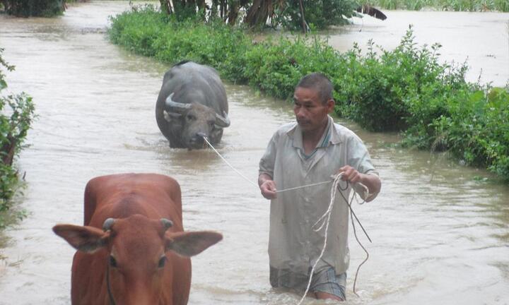 Người dân Hà Tĩnh hối hả chạy lũ