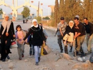 Giáo sĩ Hồi giáo Syria cho phép tín đồ ăn thịt chó