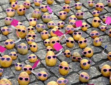 Khoai tây nhỏ và nghệ thuật bài trí