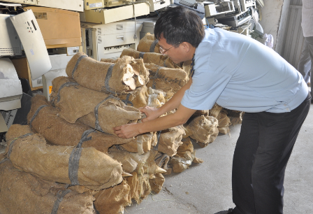 Lại bắt giữ 2,4 tấn ngà voi ngụy trang dưới vỏ ốc biển