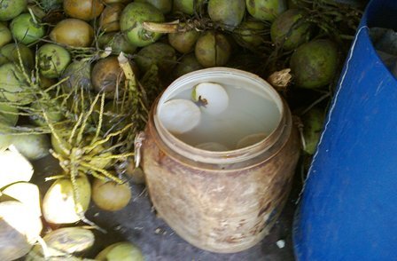 TP.HCM: Dừa được tẩy trắng bằng hóa chất thuộc da