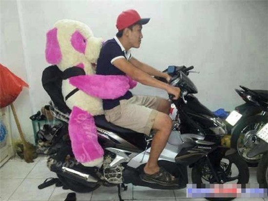 Hài hước cảnh người độc thân chở gấu bông đi chơi
