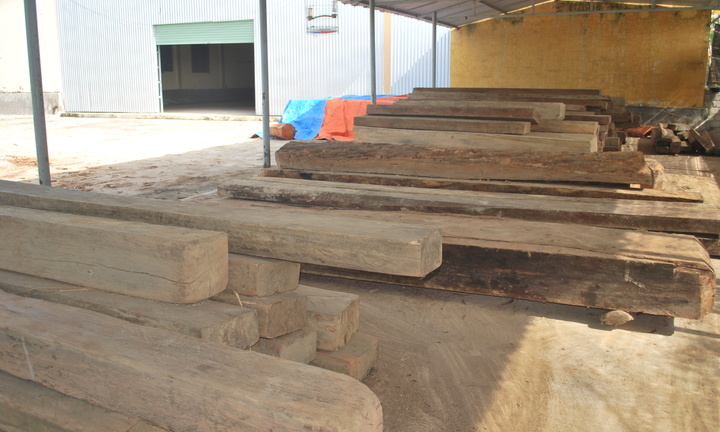 Báo động tình trạng buôn bán, vận chuyển lâm sản trái phép