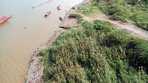 Vụ  Cát Tường: Đã hết hạn nhận định nạn nhân nổi