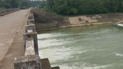 Lời con trẻ tố cáo